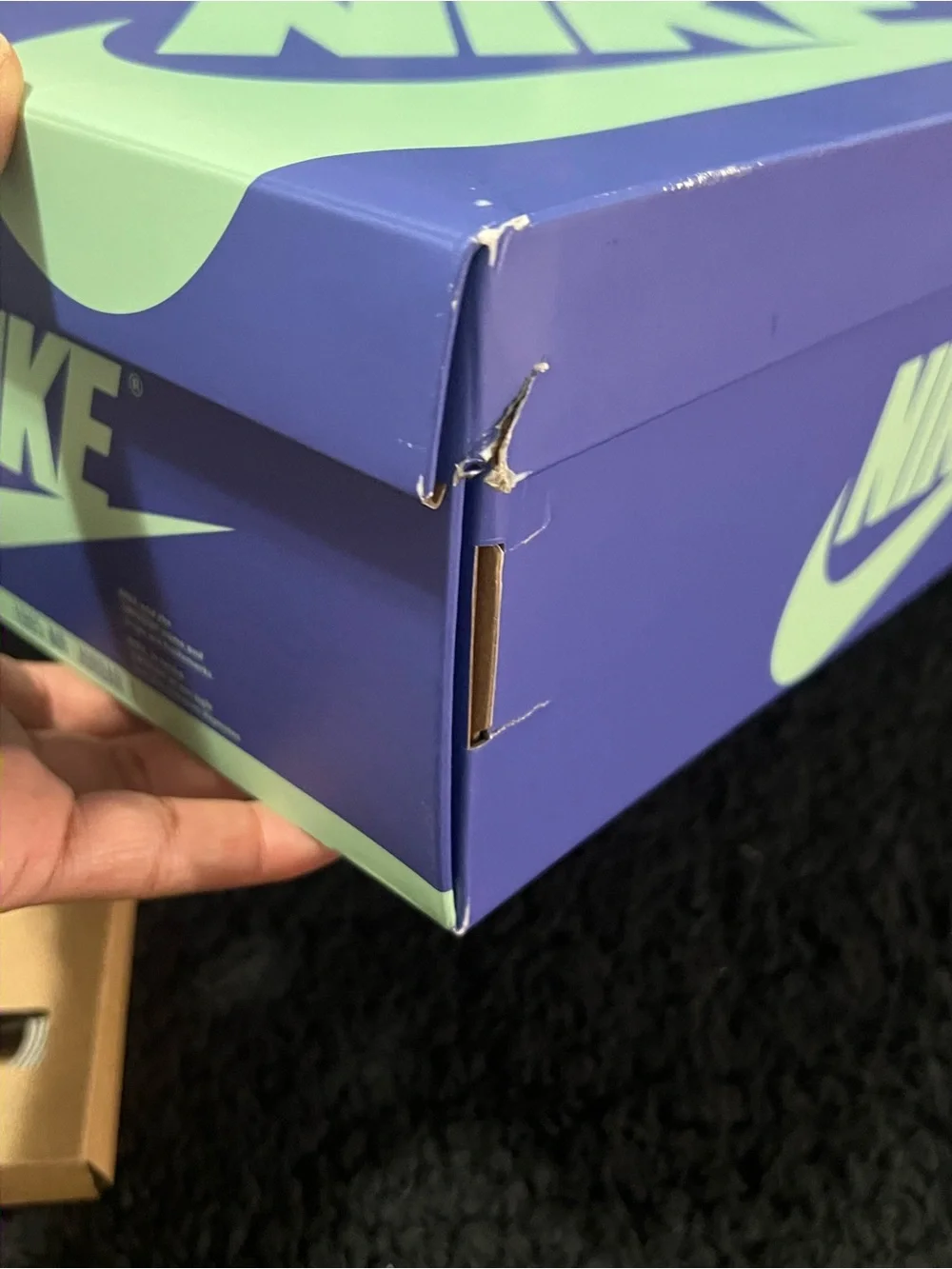 Nike Air Jordan 1 x Zion Williamson Voodoo Alternative
